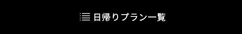 日帰りプラン一覧